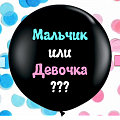 Гендер Пати